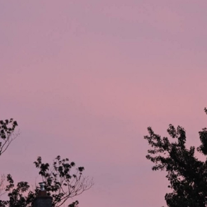 妈妈美白蚌埠的原文
