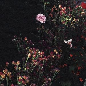 妈妈美白蚌埠的原文
