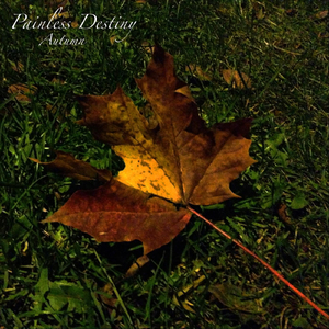 妈妈美白蚌埠的原文
